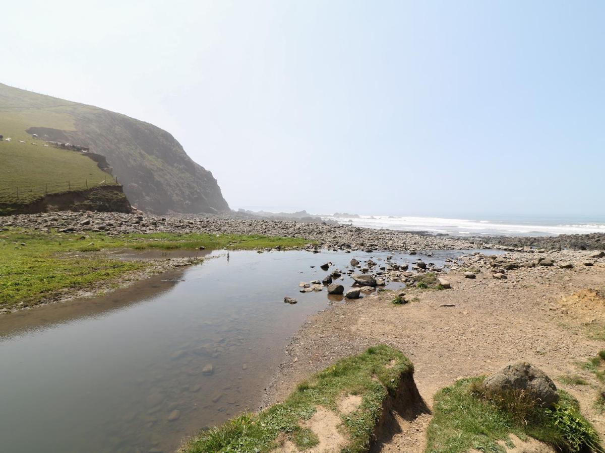 Swallow Cottage Bude Dış mekan fotoğraf